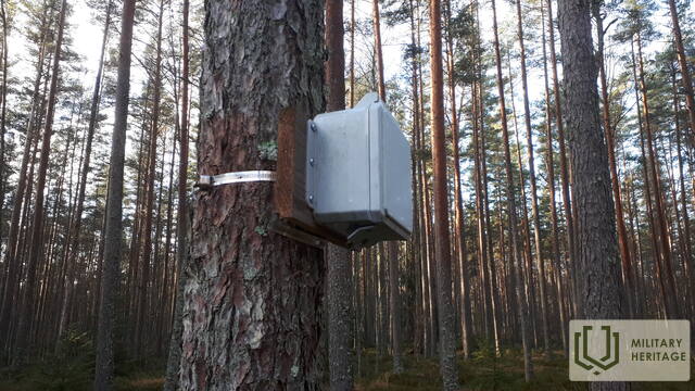 20201110_091944.jpg