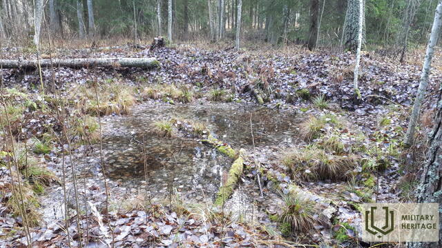 20201110_093734.jpg
