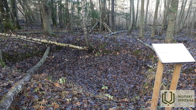 20201110_095243.jpg