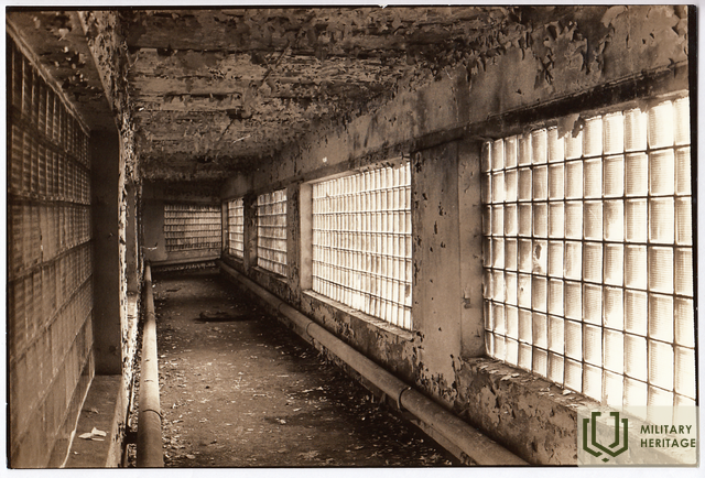 01VkNMInvN19302-4.tif