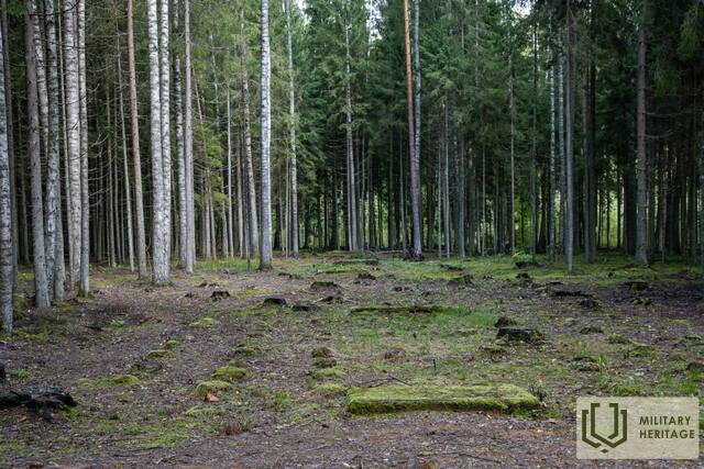Litenesnometne_GitaM_M10.jpg