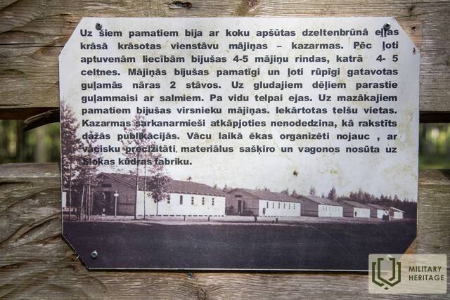 Litenesnometne_GitaM_M9.jpg