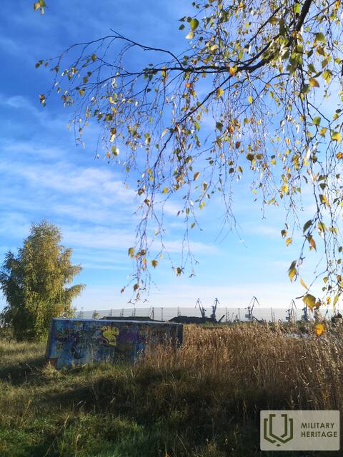 IMG_20201012_102347.jpg