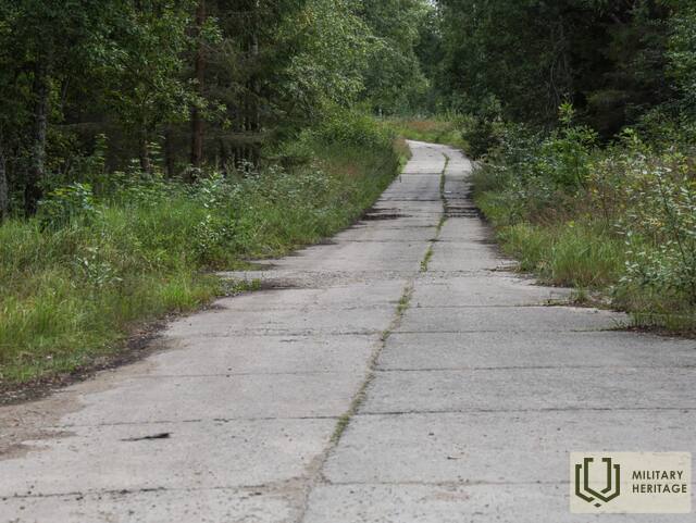 TankucelsuzMarcienu_GitaM_L4.jpg
