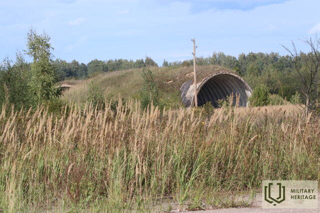 IMG_3449.jpg