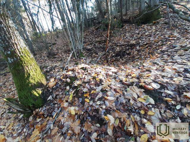 20211030_121324.jpg