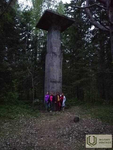 RojastornisarTICmeitenēm.jpg