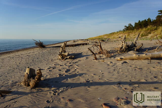DSC05896.jpg