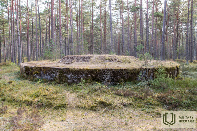 090-Tahkuna-12-tolline-patarei-MM.jpg
