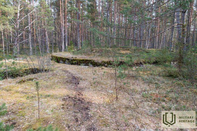 096-Tahkuna-12-tolline-patarei-MM.jpg