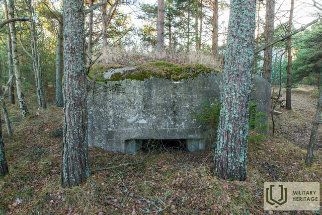 160-Lehtma-TVP-MM.jpg