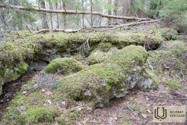 161-Lehtma-6-tolline-patarei-MM.jpg