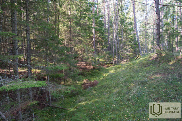 167-Lehtma-6-tolline-patarei-MM.jpg