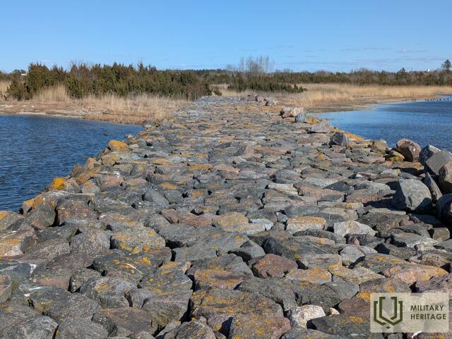 PXL_20250407_130828289.jpg