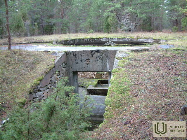 Sissepäässuurtükinr2õuele2006FotoEPüüa.jpg