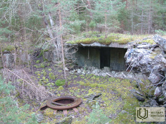 Õhitudsuurtükiõunr42006FotoEPüüa.jpg