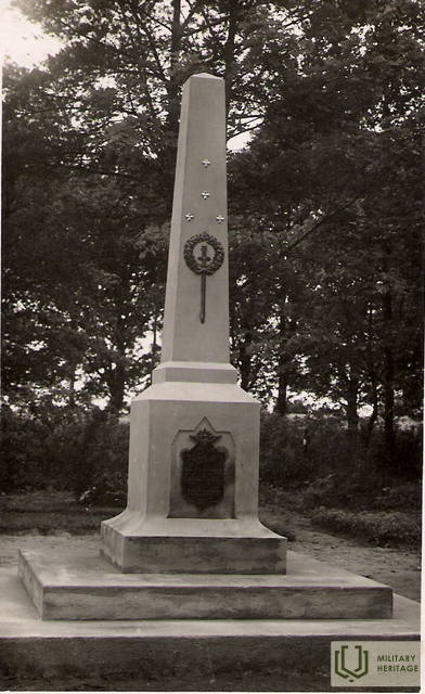 2596f.jpg