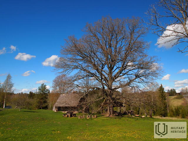 P1013445.jpg