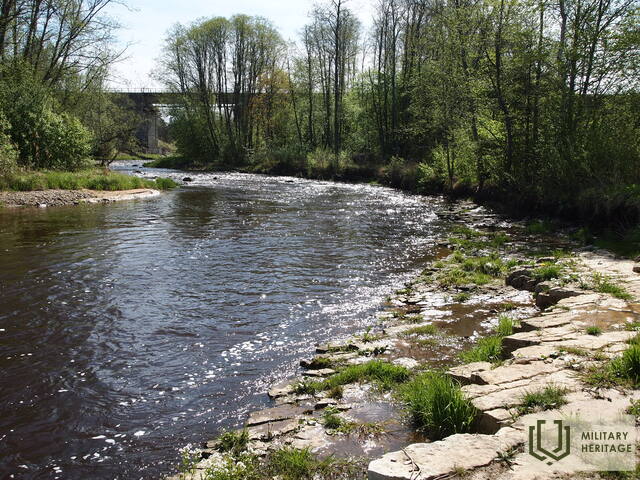 P1018150.jpg