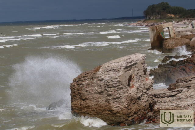 IMG_3673.jpg