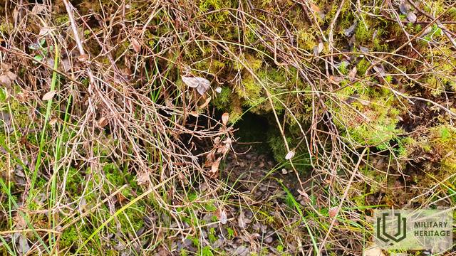 20201017_133835.jpg