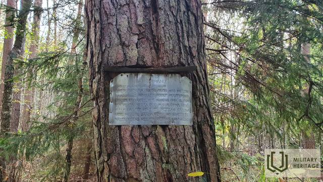 20201017_135345.jpg