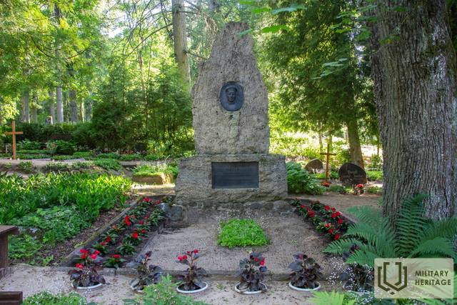 GelbeskapsLimbazukapos_M1.jpg