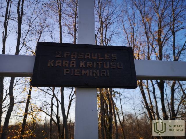 BaltaiskrustsErgli_21.jpg