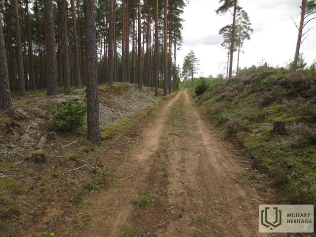 IMG_2199.jpg
