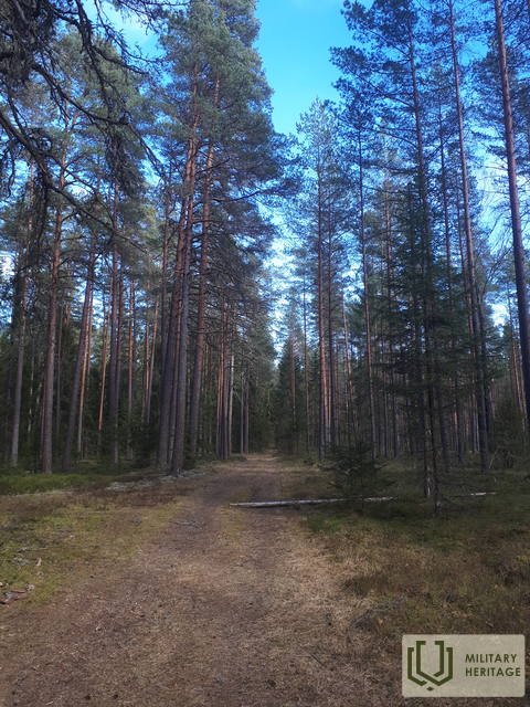 20200411_153504.jpg