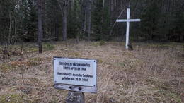 20200318 153629