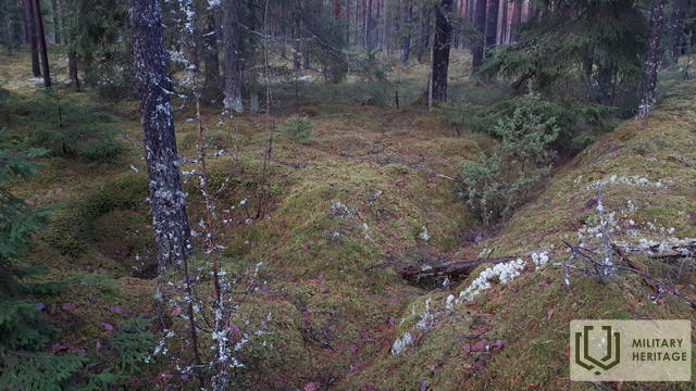 20201122_141504.jpg