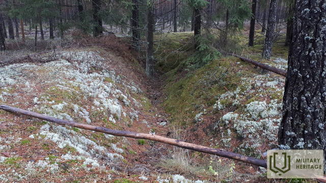 20201122_142042.jpg