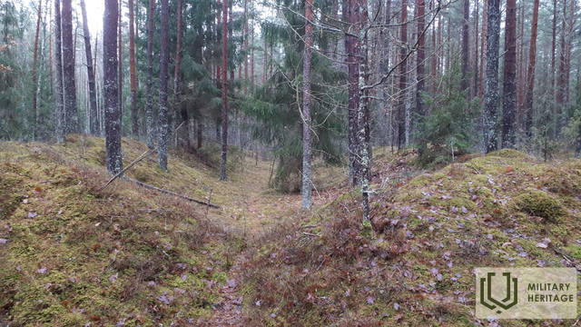 20201122_143837.jpg