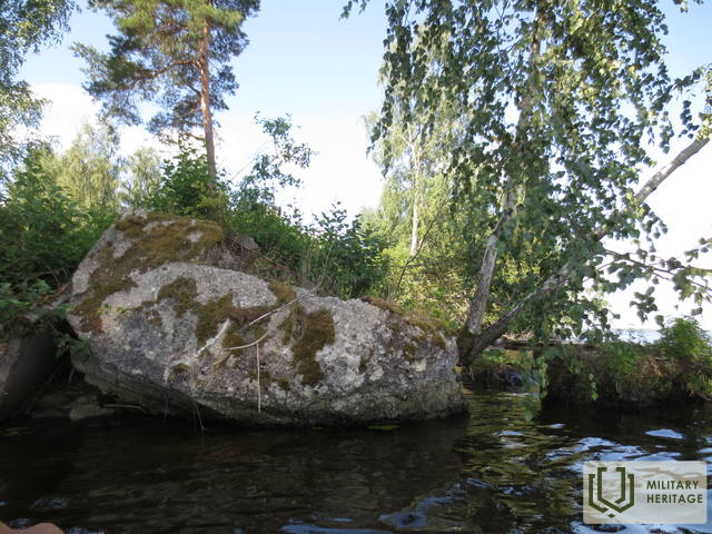 IMG_2087.jpg