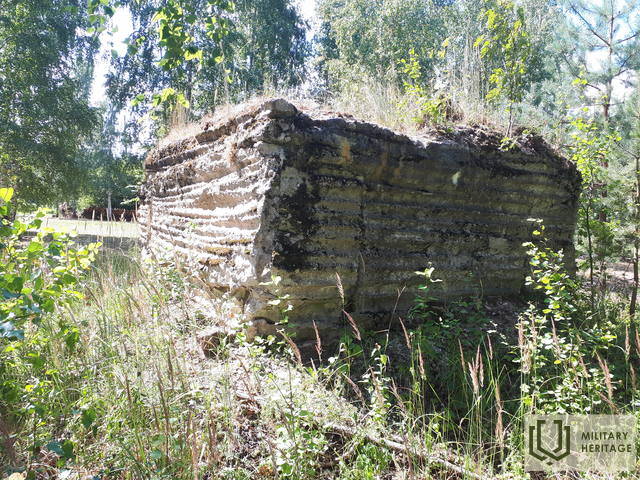 20210724_122424.jpg