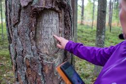 Allikas: Gita Memmēna, Vidzeme Turismiliit