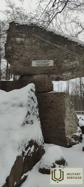 IMG_20211229_135429.jpg