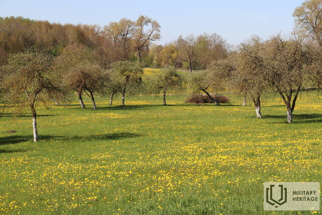 IMG_8765.jpg