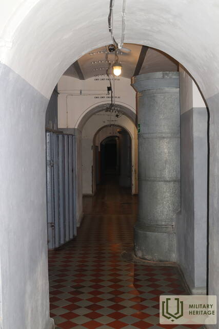 IMG_8790.jpg