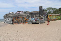 IMG 8176