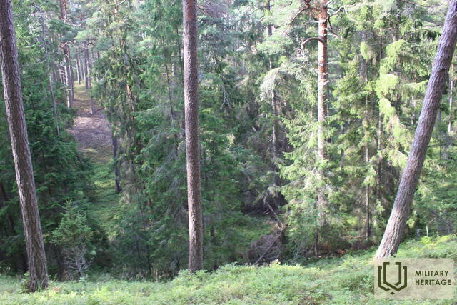 2-Staldzene-mūsdienas-2.jpg