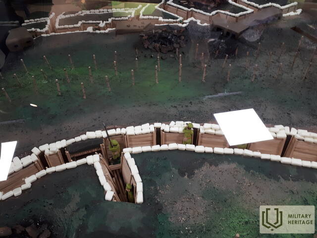 20230303_115421.jpg