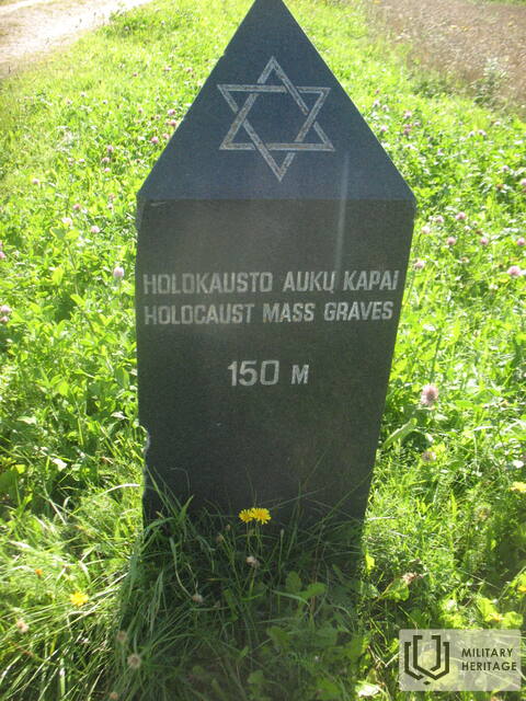 Plateliu-zydu-zudyniu-vieta-Jazminu-kalnas-5.jpg