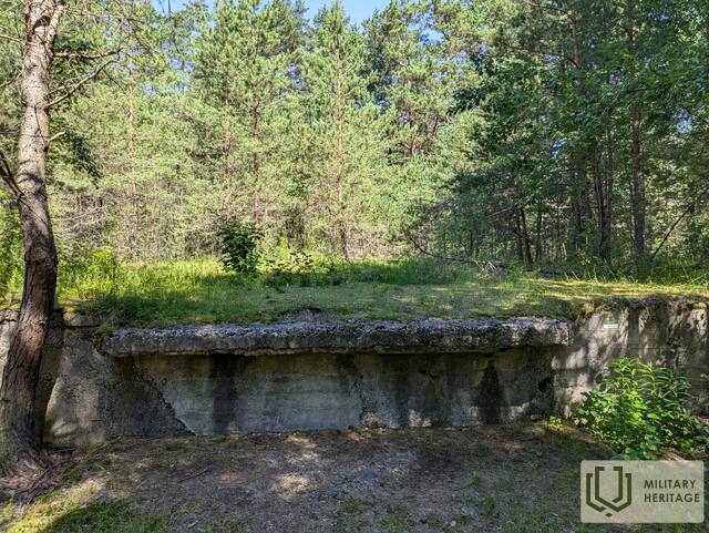 PXL_20240627_084727114.jpg