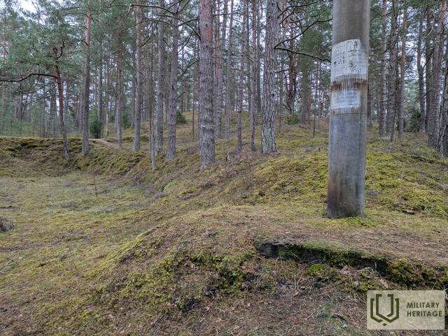 PXL_20250126_131310486.jpg