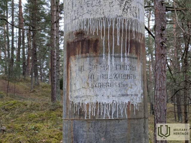 PXL_20250126_131318908-MP.jpg