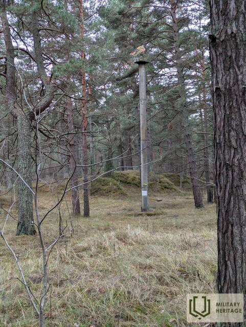 PXL_20250126_130842114.jpg