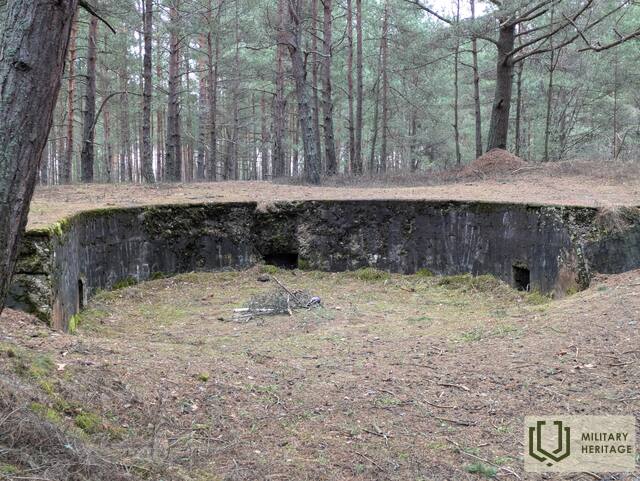 PXL_20250126_124803230.jpg