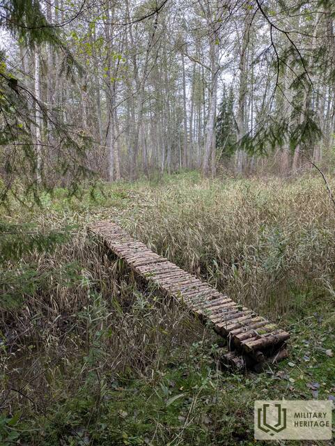 PXL_20251022_100827846.jpg